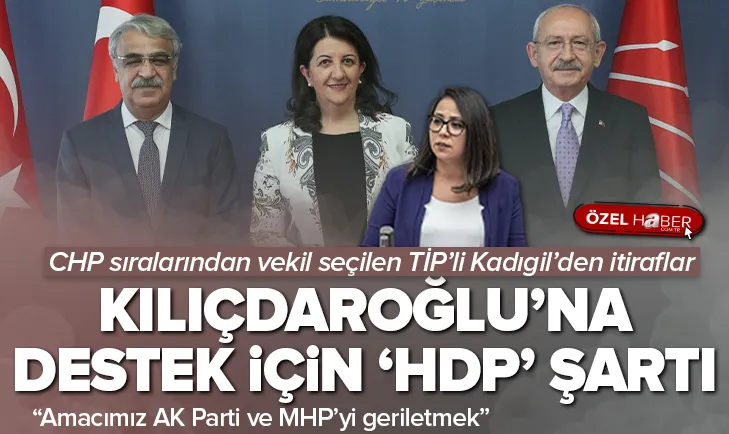 TİPli Kadıgilden Bay Kemale HDP şartlı destek