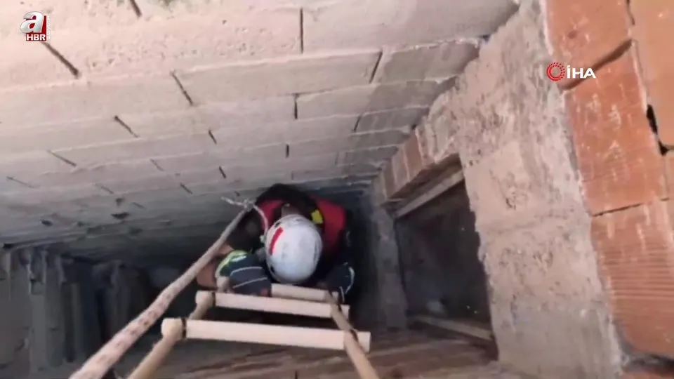 İtfaiyeden kedi kurtarma operasyonu