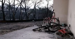 CHP ve HDP Hatay’daki yangında PKK’yı görmedi!