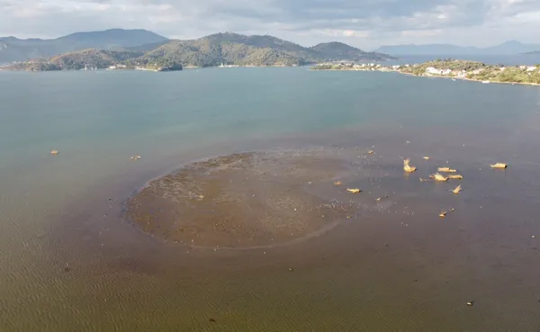 Muğla Fethiye'de vatandaşları tedirgin eden görüntü! Deniz suyu çekildi - 1