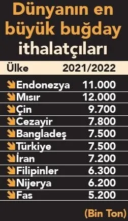 Küresel yeni oyunun adı "buğdayımız kalmadı" sahnede! Türkiye'nin tedbirleri hazır - 6