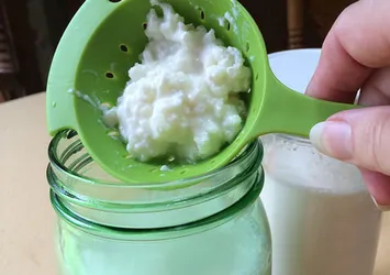 Kefir nedir? Nasıl mayalanır? Faydaları nelerdir?