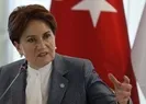Akşener’e göre İYİ Parti’nin zevzekleri