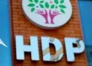 Son dakika: Eski HDP Siirt Milletvekili Hatice Kocaman hakkında tutuklama kararı