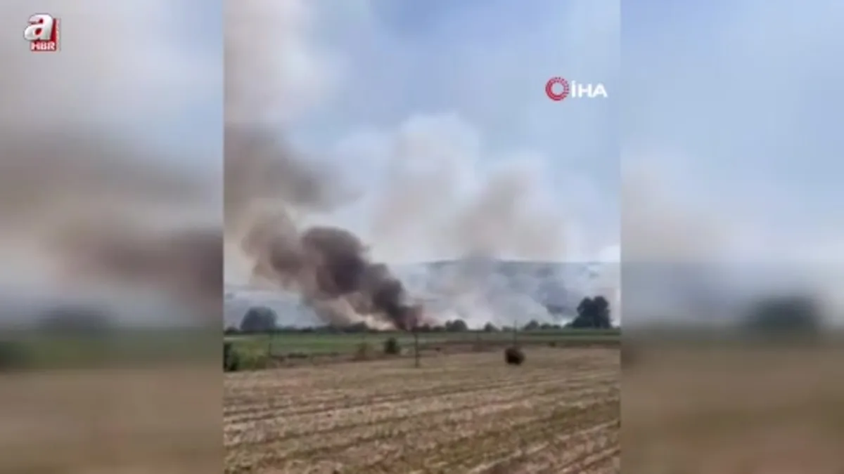Bursa'nın Yenişehir kırsalında yangın paniği