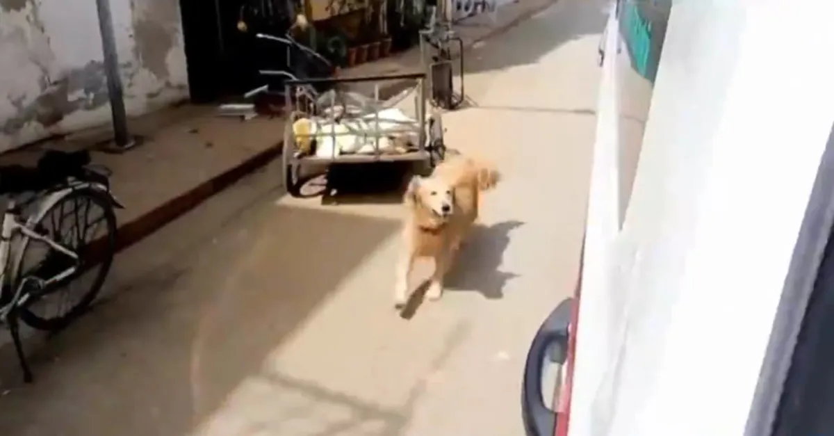 2021’in en çok izlenen videosu Türkiye’den