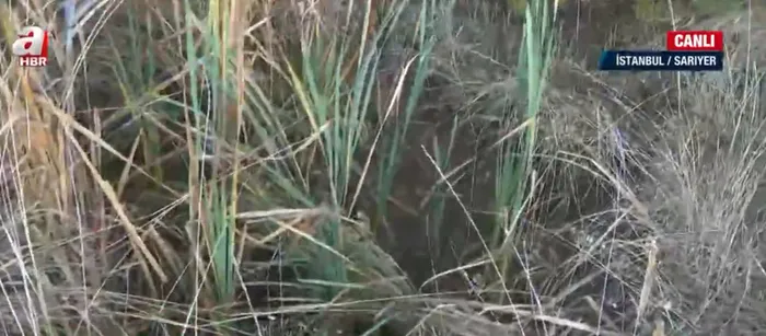 İstanbul’da görünmeyen mezarlık! Kilyos’ta tarihi mezarlık harabeye döndü