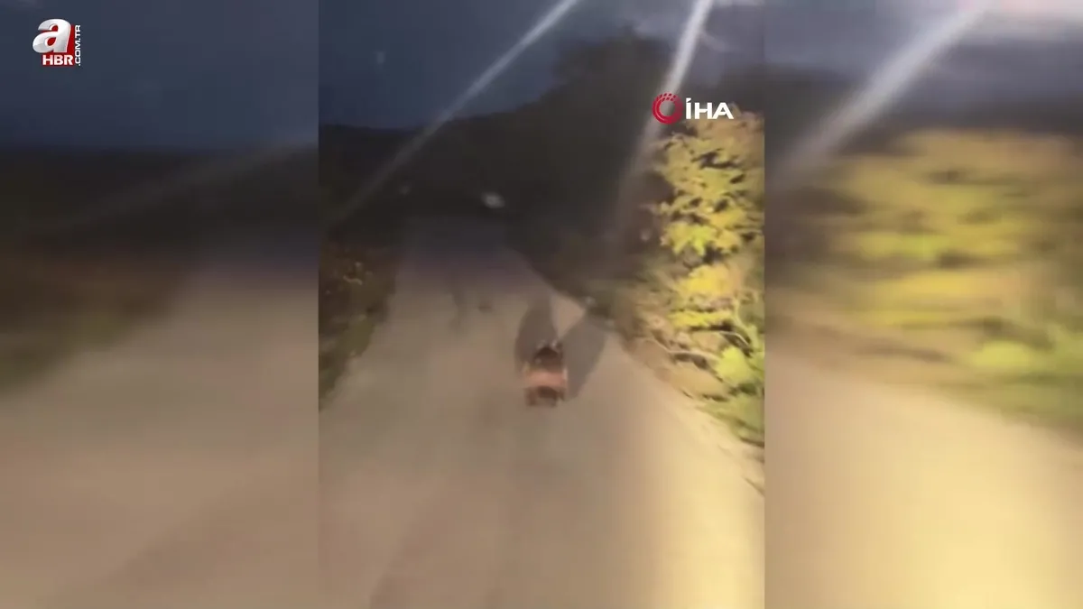 Yolda koşan ay böyle görüntülendi