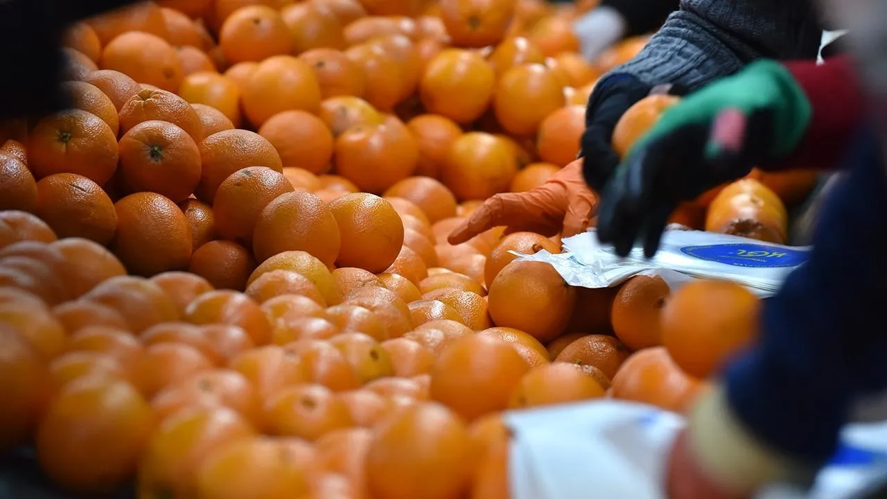 Üretici ve market arasındaki fark yüzde 350'yi buldu!
