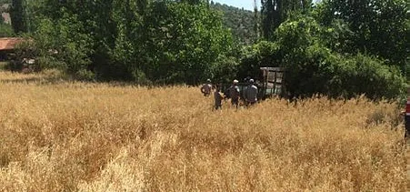 Çorum’da küçük çocuğun traktörle oyunu faciayla sonlandı - 1