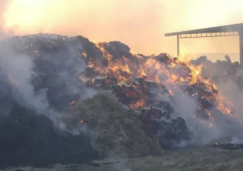 Tekirdağ'da 10 bin balya alev alev yandı
