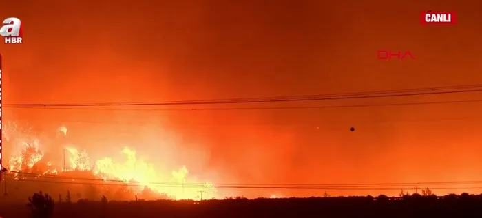 bursada-alevlerle-mucadele-kestel-belediye-baskani-ferhat-erol-a-haberde-yanginda-sabotaj-ihtimali-var-mi-1753569474067.jpg A Haber - Ekran Görüntüsü