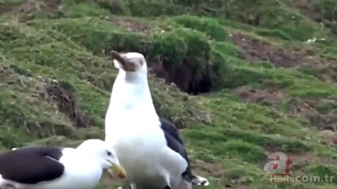 Oltasına takıldı! Neye uğradığını şaşırdı 10