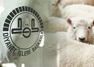 Diyanet İşleri Başkanlığı kurban kararlarını açıkladı! Yapılmazsa 88 bin 499 TL cezası var