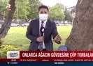 CHP Ankarada çöp torbalarını ağaçlara çiviledi! A Haber ağaç katliamını görüntüledi