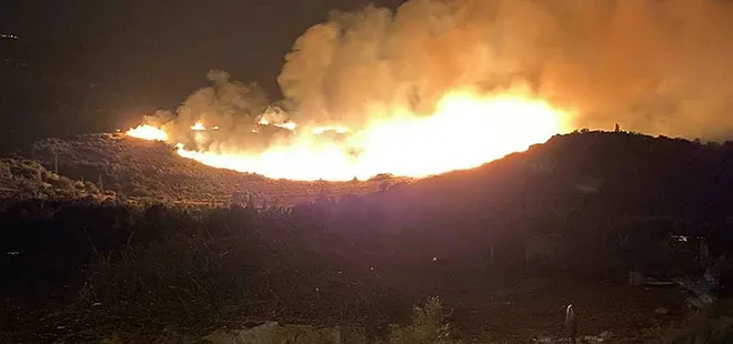 Aydın Söke’de orman yangını