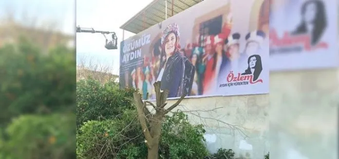 CHP Aydın Büyükşehir Belediye Başkanı Özlem Çerçioğlu afiş için ağaçları kesti