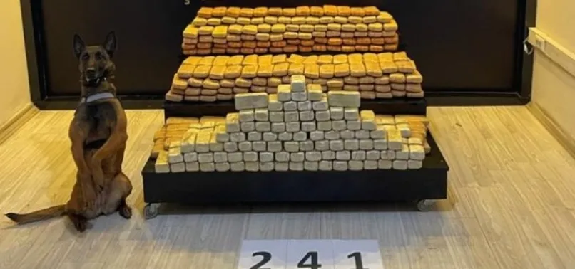 Bakan Süleyman Soylu: Hakkari'de 241 kilogram eroin ele geçirildi
