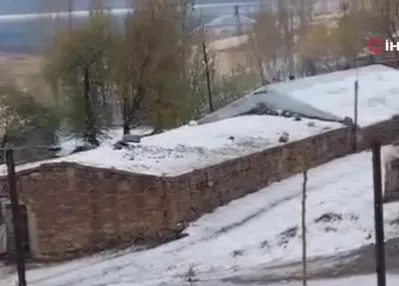 Bitlis’in Ahlat ilçesi beyaza büründü