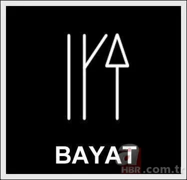 Türkiye'de hangi il hangi Türk boyundan geliyor? Şehirlerin soyağacı ortaya çıktı! 32