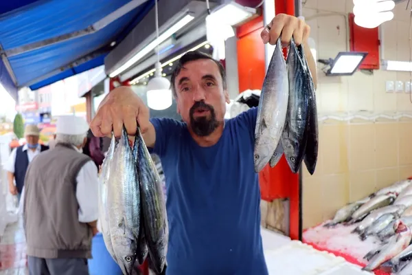 Balıkseverlere müjde! Yarım kiloluk palamut 15 lira