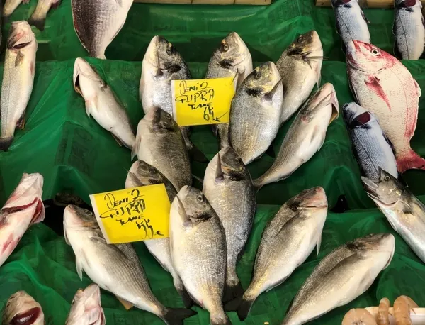 Balıkseverlere sevindiren haber! Hamsinin fiyatı düşüyor