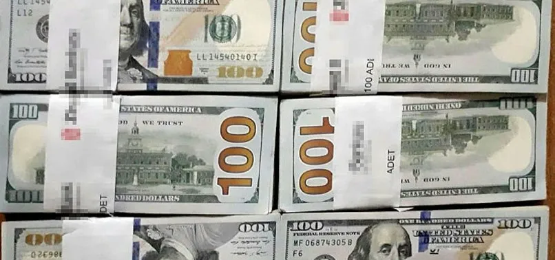Çöpe atılan 70 bin dolarının izini takip edip buldu