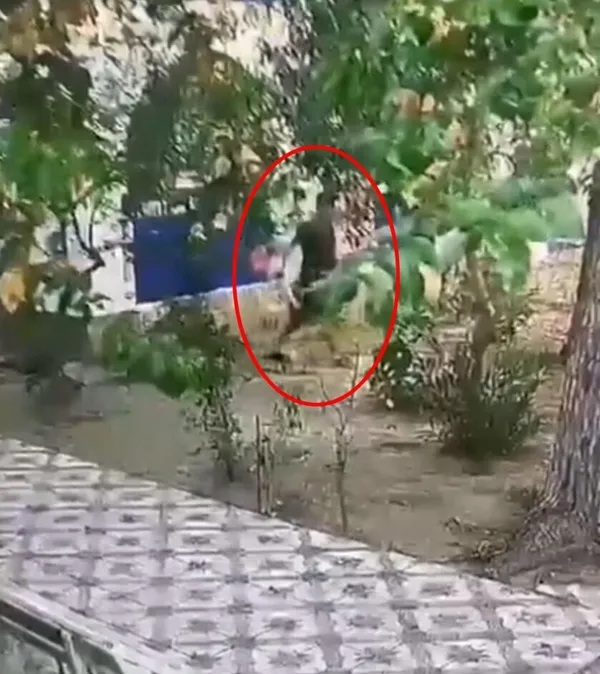 1690823216565.jpg Önce müşteri gibi davrandı sonra turistleri soydu! Otele dadanan hırsız güvenlik kamerasında - 2