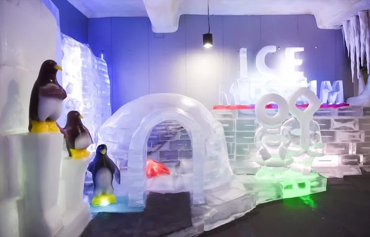 Seul’deki Buz Müzesi yoğun ilgi gördü