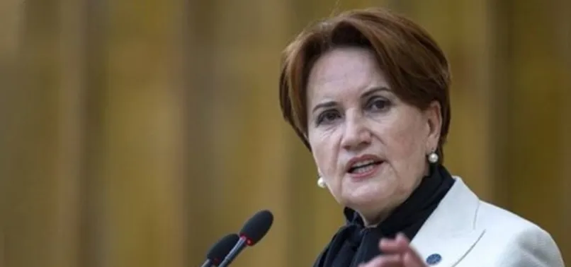 Cuntacı amirallerin bildirisinin bir numarası Ergun Mengi İyi Parti'de yönetici çıktı!