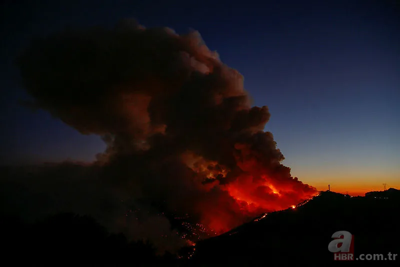 İzmir orman yangını son durum | İzmir yangın son dakika söndürüldü mü? 4
