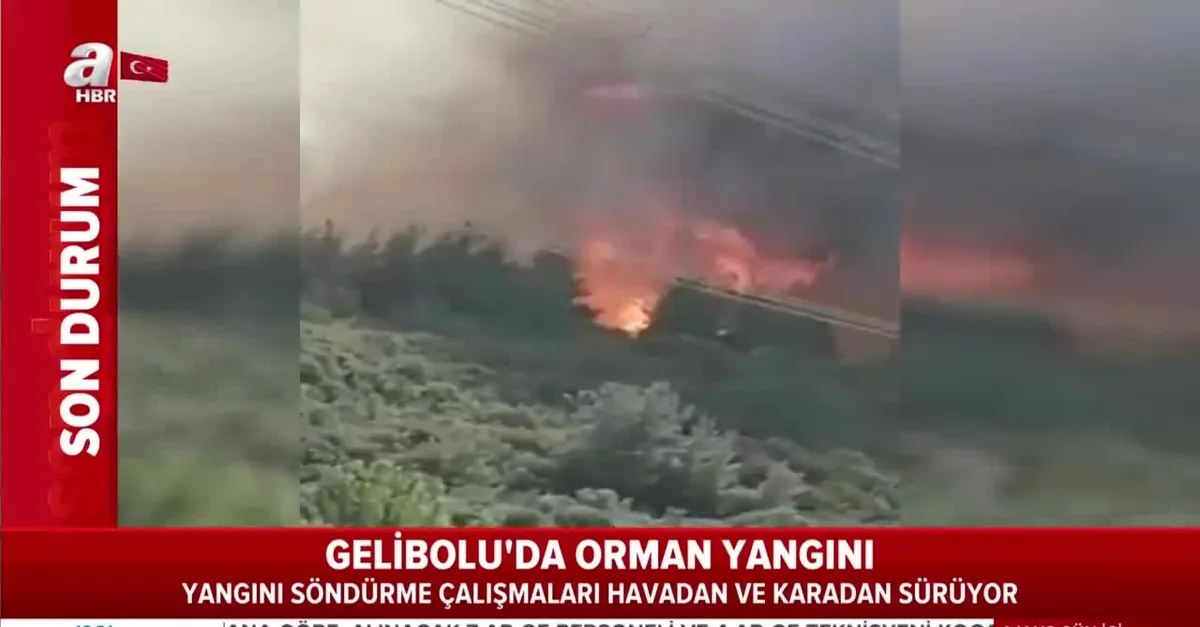 Gelibolu'da korkutan yangın