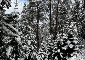 Sinop'a mevsimin ilk karı yağdı