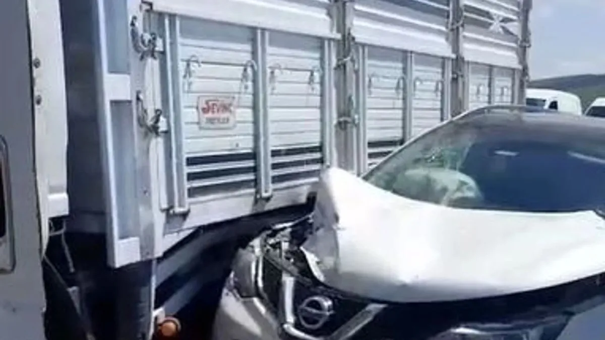 Ardahan'da kamyonet ile otomobil çarpıştı: 1 yaralı