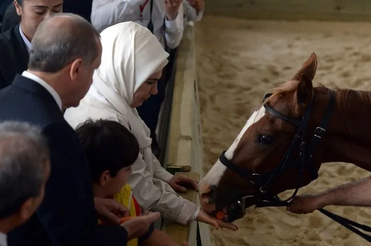 Katar emirinden Cumhurbaşkanı’na sürpriz: 53 tane Arap atı gönderdi