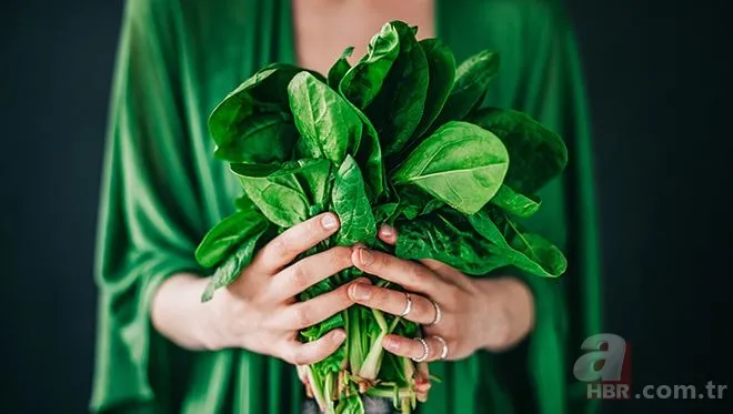 Her gün salata yerseniz ne olur? 'Diyetteyim sadece salata yiyeceğim' diyenleri ilgilendiriyor 10