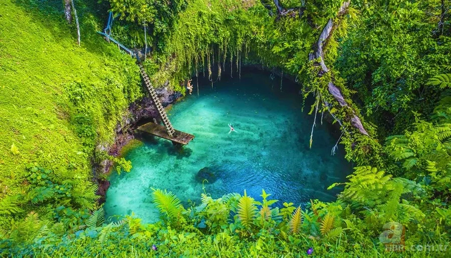 Hangi ülkelere vizesiz gidilebilir? İşte Türkiye'den vizesiz gidilen ülkelerin listesi 89