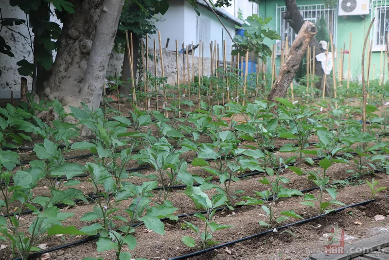 Milyonların hayalini burada yaşıyorlar! 6