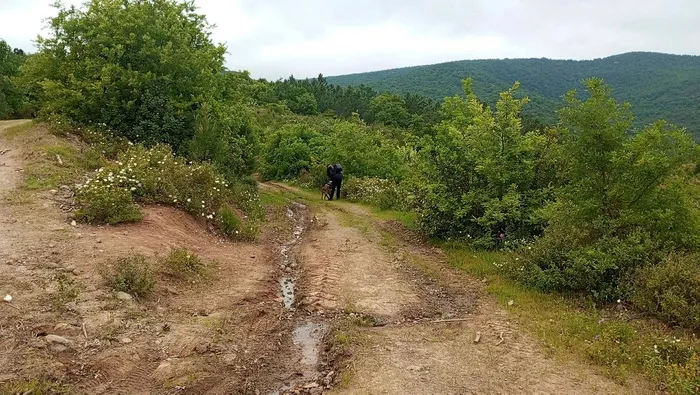 1715678943374.jpeg Balıkesir'de bulunan kafatası ve kemiklerin Korhan Berzeg'e ait olduğu kesinleşti - 4