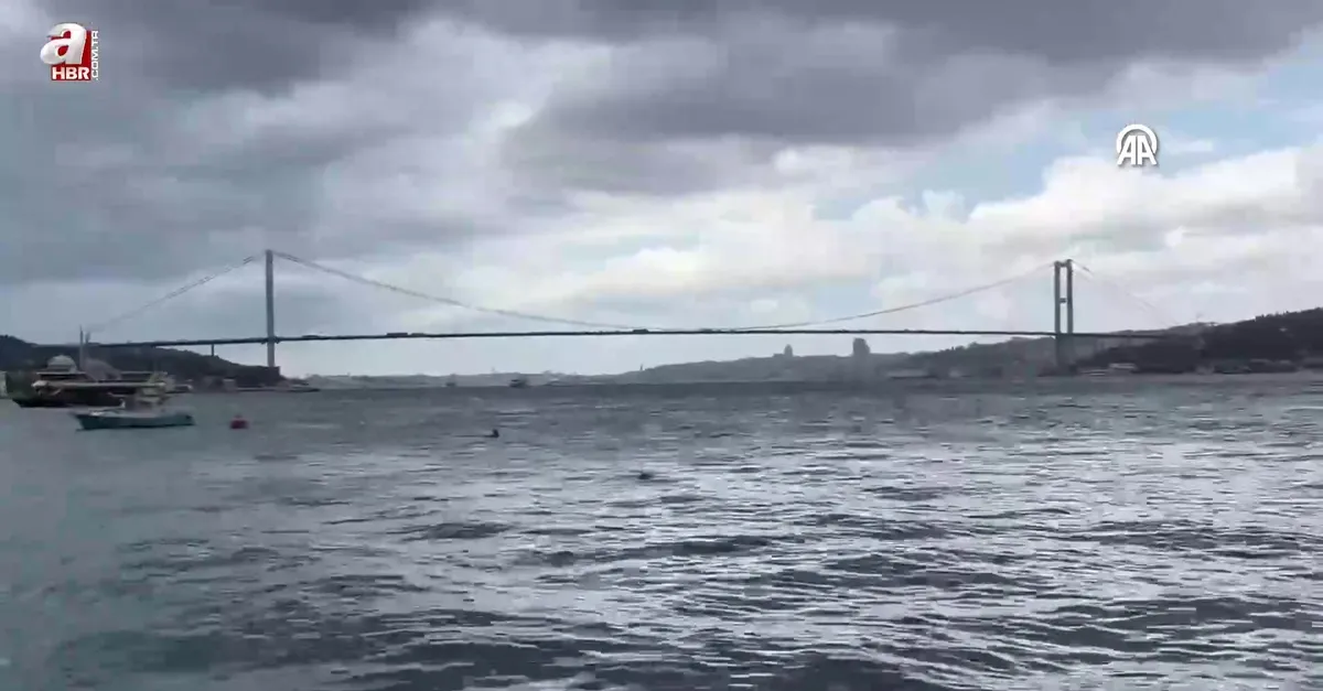İstanbul'da beklenen yağış başladı
