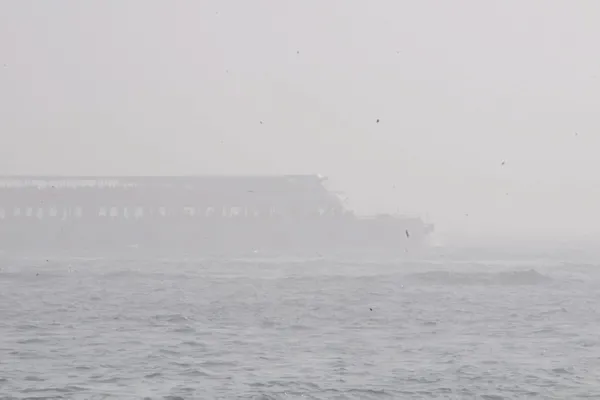1611834963315.jpg Kısıtlamalar da etkili oldu! İstanbul'un hava kirliliği yüzde 10 azaldı - 3