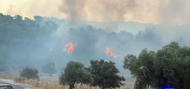 Antalya, Muğla ve Aydın’da orman yangını!