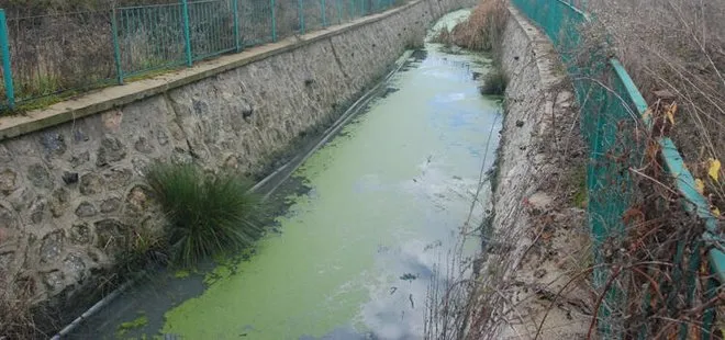 Bartın Irmağı’ndaki kirliliğin nedeni tekstil fabrikasıymış