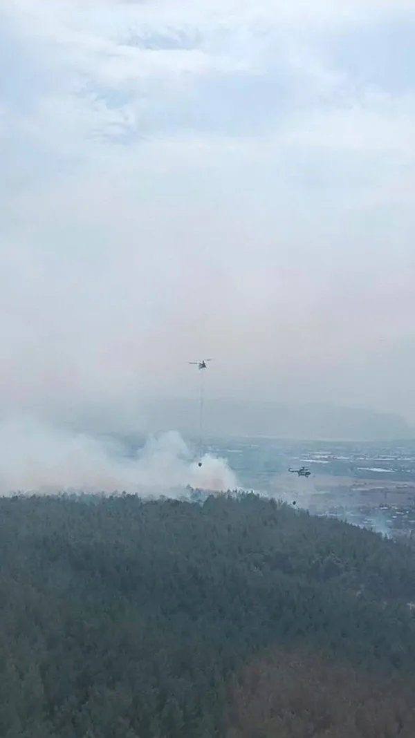 izmirde-orman-yangini-alevlere-havadan-ve-karadan-mudahale-ediliyor-1694260529606.jpg
