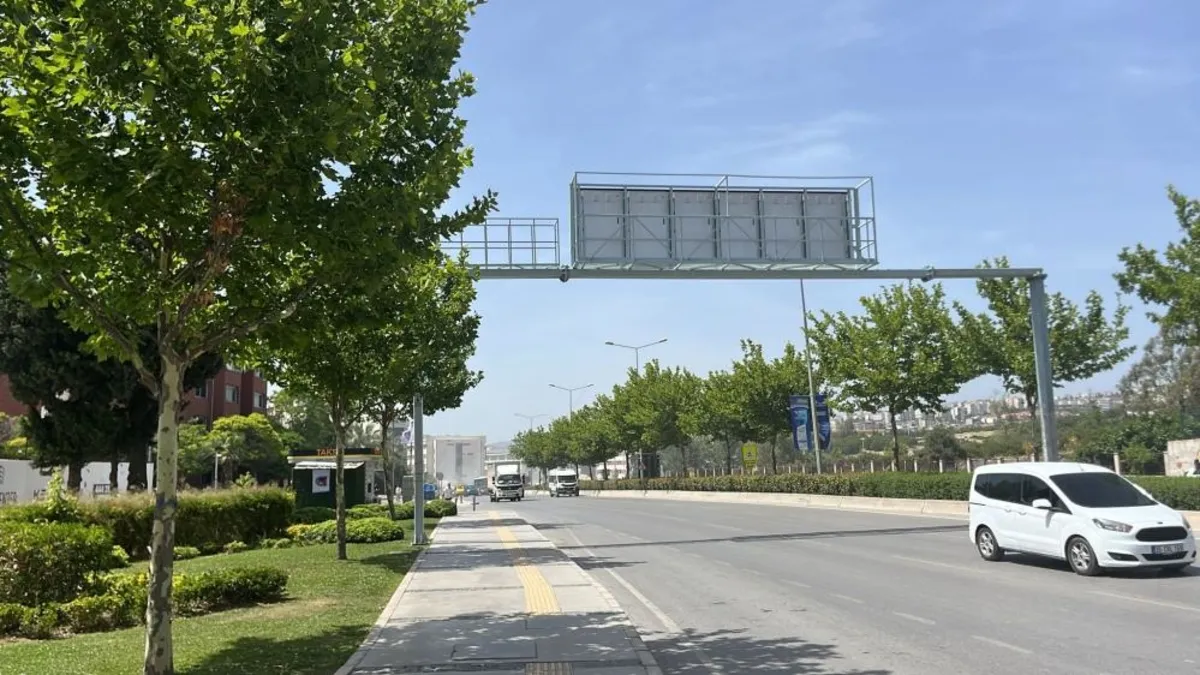 Ağaçlar taşınarak koruma altına alınacak