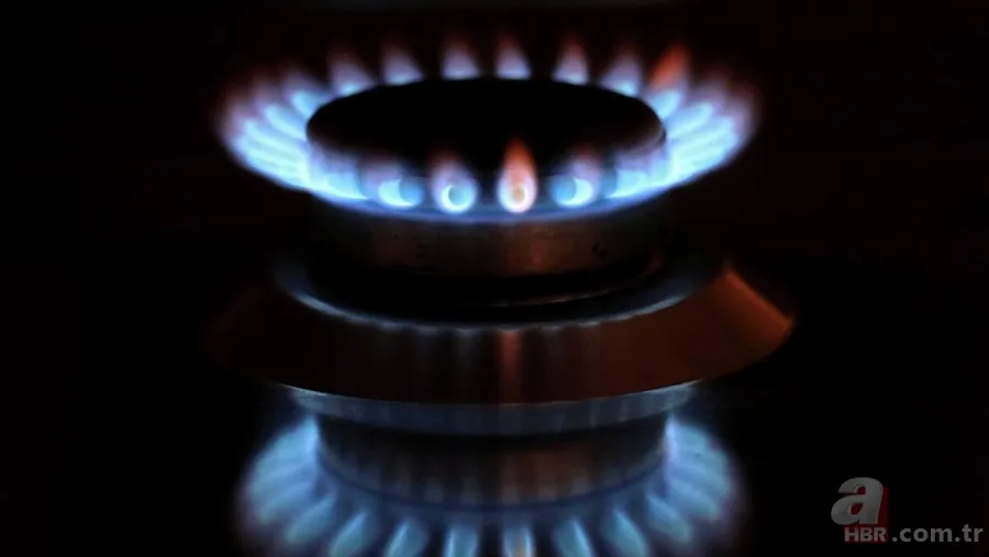 e-Devlet'ten başvuran PTT'den nakit çekebilecek! Ödemeler arttı! 2.500 TL'ye kadar hane başına para yardımı! İşte başvuru ekranı 3