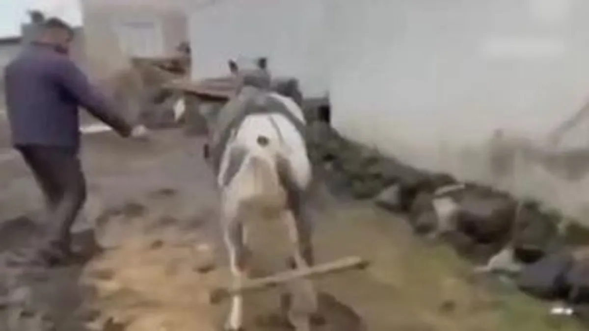 Ata eziyet eden kişilere ceza yağdı