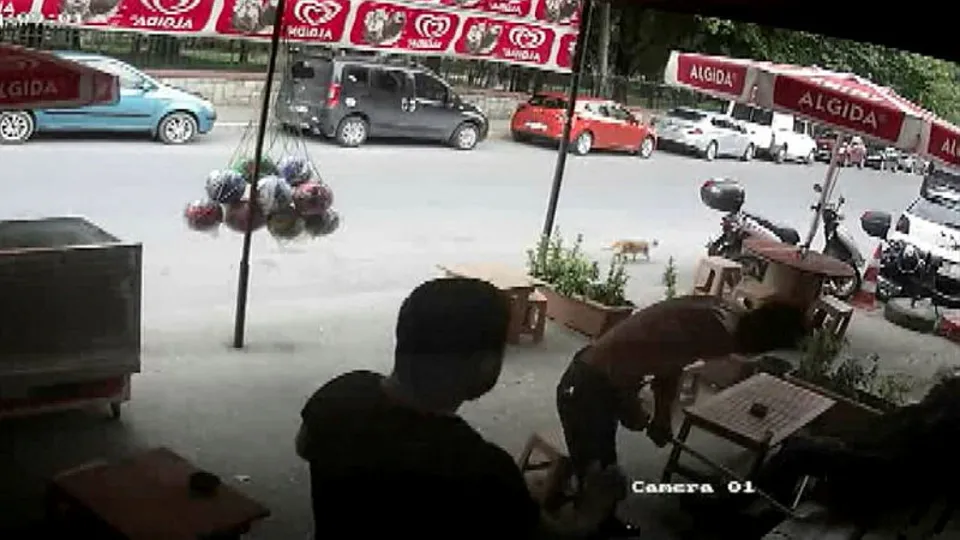 Beykoz'da skandal olay! Hiç acımadan sopalarla engellileri dövdüler