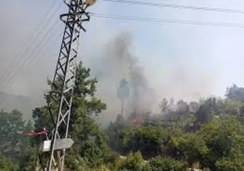 Odunlukta başlayıp zeytinliğe sıçrayan yangın söndürüldü