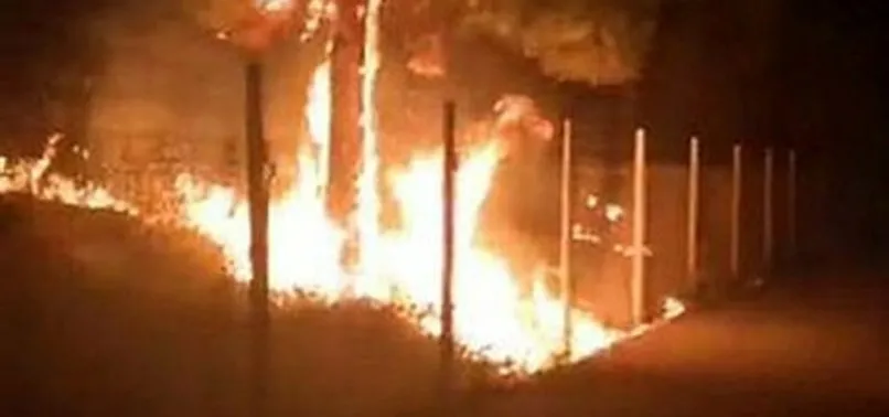 Çocukların bahçeye attığı torpil, mahalleyi yakıyordu